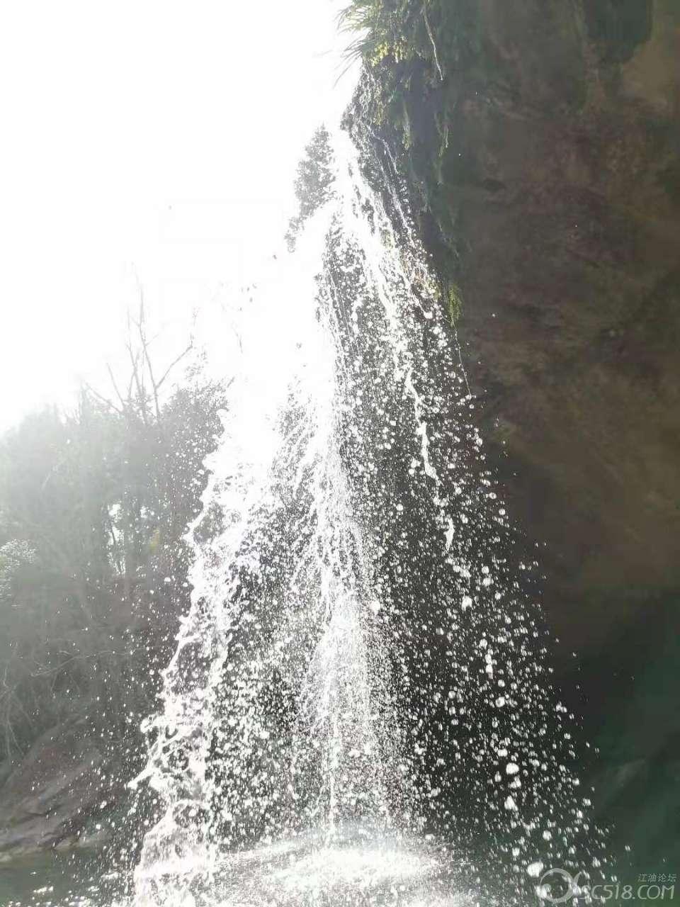 “村网共建”谱写乡村振兴协奏曲