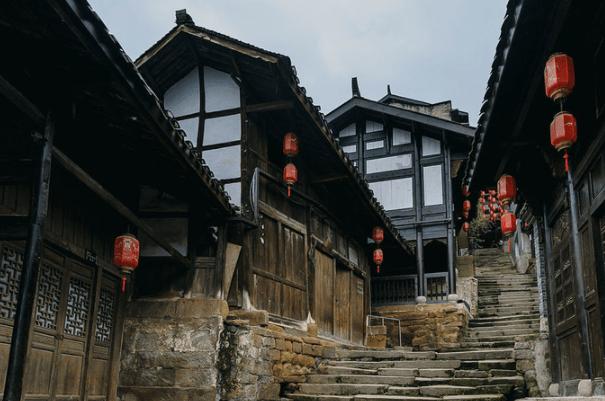 “芯片”赋能 助力肉牛产业发展